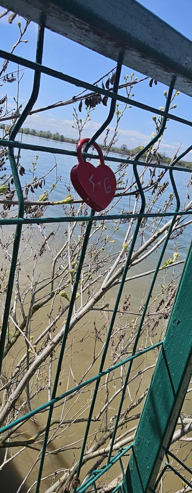 Danube Home Ostrovu Corbului Eksteriør billede